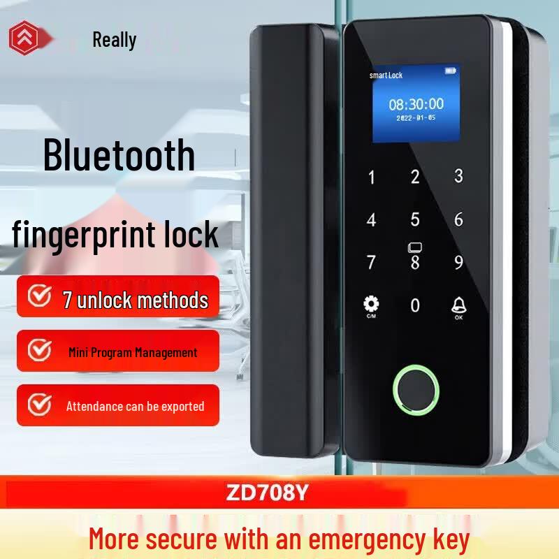 Realand ZD708Y Smart Fingerprint Glass Door Lock