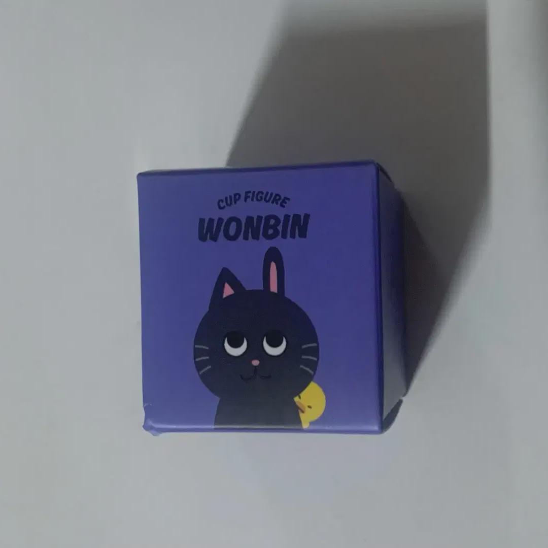 

Riize Cup Figure Wonbin