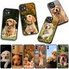 Phone Cover Golden Retriever Dog Pet Casing for Xiaomi Redmi Note 15 11 9 10 Pro Plus A5 9A 9T 10A 10C 9C NFC 15C 8T Case