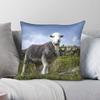 Glückliches Herdwick Schaf Quadratisches Kissenbezug Polyester Leinen Samt Bedruckt Reißverschluss Dekorative Kissenhülle Sofakissenbezug