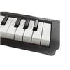 Korg Keyboard Amplifier, 61-Key (MICROKEY261),Black