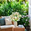 15 Bunches Artificial Orchid Artificial Phalaenopsis Bouquet Silk Real Touch Fake Flowers for Home Wedding Restaurant Hotel Room Decor