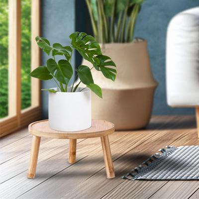 Mini Wooden Plant Stand Holder for Home And Garden Decor