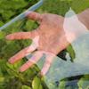 0.55mm Transparent PVC Tarpaulin Garden Greenhouse Plant Keep Warm Rainproof Gazebo Furniture Waterproof Clear Tarp Canopy