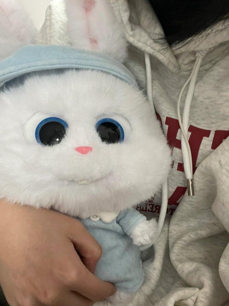 Boss Bunny: Long-Eared Plush Rabbit Doll Gift for Girls' Birthdays