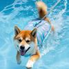 Secure Fit Pet Safety Vest Adjustable Dog Lifesavers Swimsuits High Flotation Life Vest  Summer