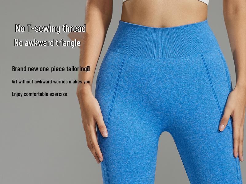 Seamless High-Waist Yoga Pants Elastic Hip-Lifting Outdoor Autumn Winter Fitness Tights Women