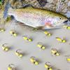 2Boxes Bundle(Total 18Pcs Flies)- Fly Fishing Flies Artificial Wet Flies Bait for Flishing Trout/Bass Artificial Nymphs Bait