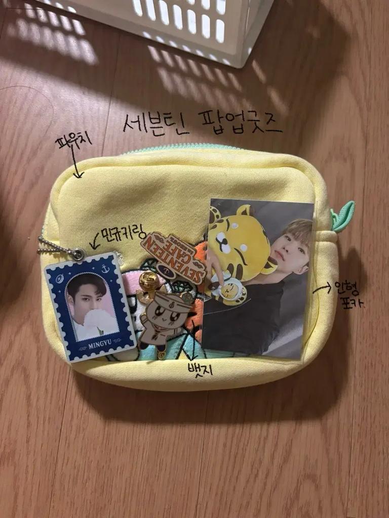 SEVENTEEN Hyeja Defective Disposal + Unofficial Goods 2nn 6kg Used