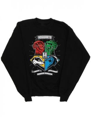 Boys Hogwarts Toon Crest Sweatshirt