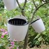 3pcs/set Wall-Mounted Flower Pot Automatic Water-Absorbing Soil or Hydroponics System Pot for Wall Balcony Flower Pot Holder