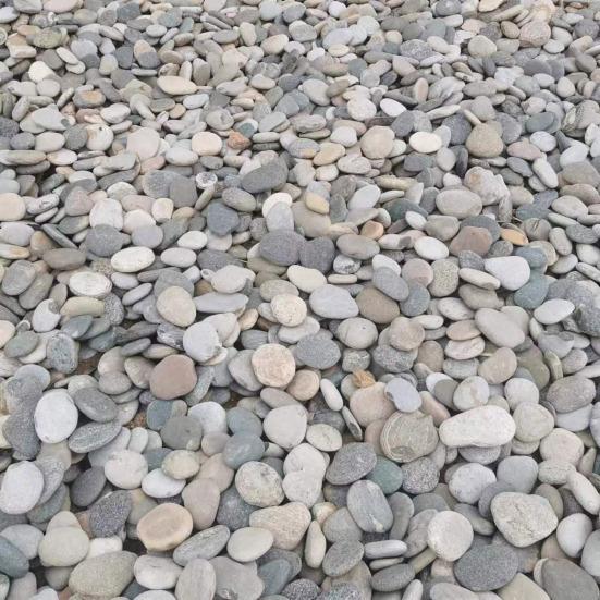 Flat Smooth Pebbles Art Painting River Rocks Natural Stones for Crafts DIY Art Supplies Garden Decoration