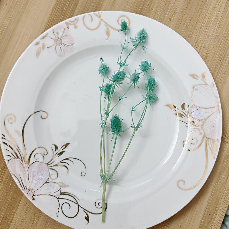 Blue Series Dried Flower DIY Kit: Hydrangea, Thousand-Layer Gold, Eucalyptus Leaf Souvenir Decoration