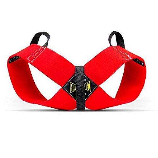 

Spud ФОРМА БАБОЧКИ ФОРМАЛЬНЫЙ Тренировочный галстук-бабочка для поддержки осанки Inc. / (СЕРЕДИНА) [Аутентичный]