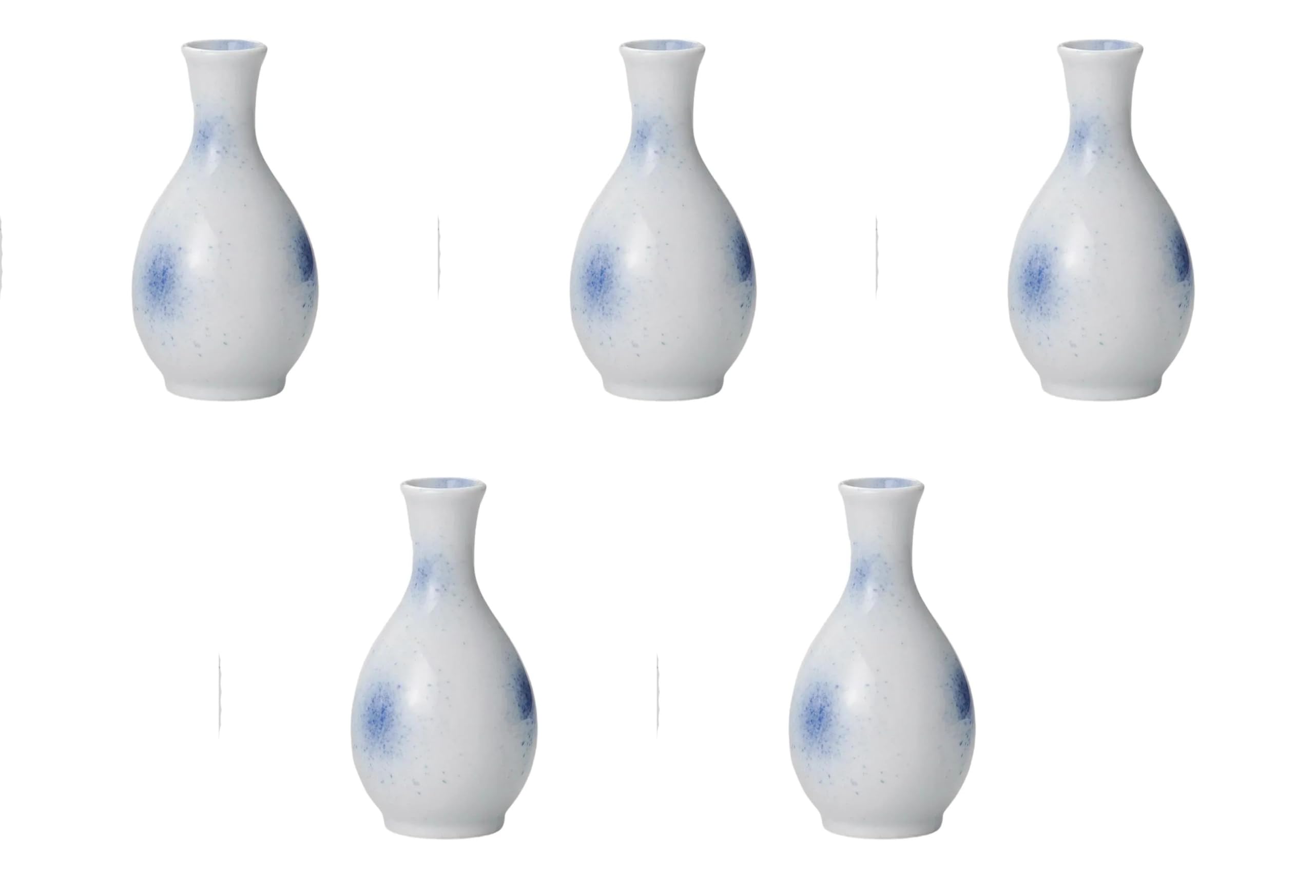 

Набор из 5 Фукисуми Го Токкури х 12 см Токкури Сетомонохонпо 0.8 [6.3 (160 куб.см)]