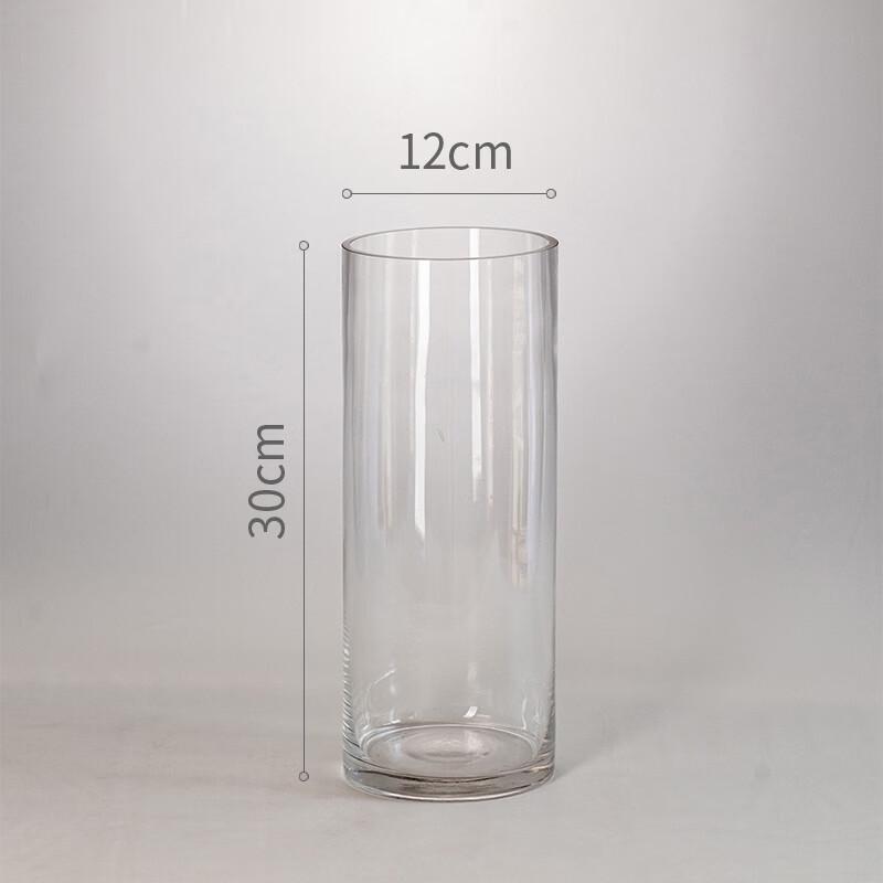 Hanwei Modern Clear Glass Flower Vase