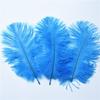 10Pcs Stage Props Ostrich Feathers 15-20cm Colored Ostrich Feathers  Home Decoration