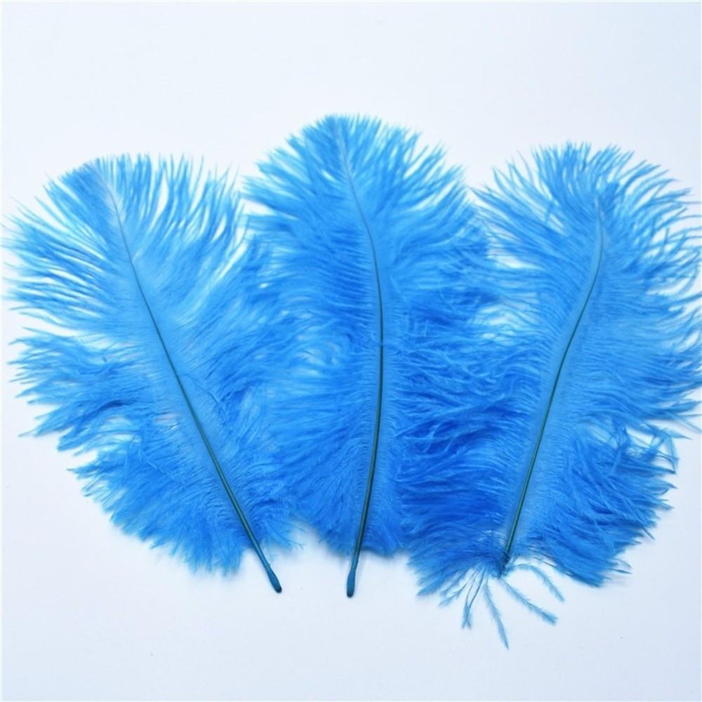 10Pcs Stage Props Ostrich Feathers 15-20cm Colored Ostrich Feathers  Home Decoration