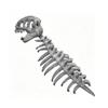 PP Cotton Dinosaur Skeleton Costume Skeleton Design 3D Dinosaur Skeleton Capes Plush Softness Easy To Clean for Halloween Themed