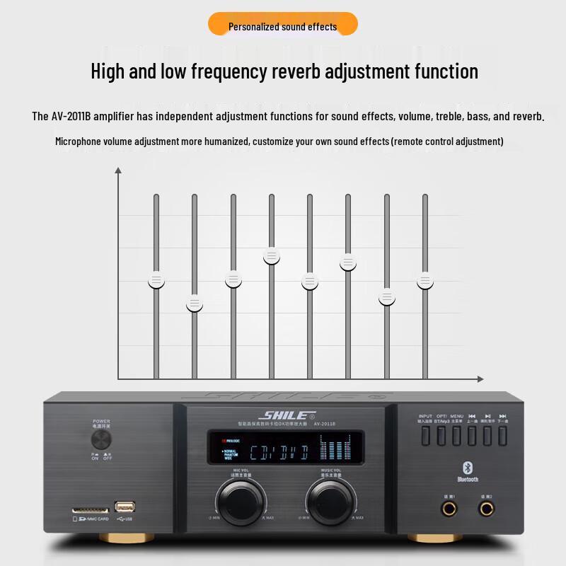 SHILE Conference Speaker System with Wireless Microphones