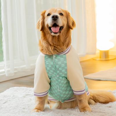Abbigliamento e scarpe – Pullover per cani