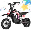 Moto elétrica infantil - RCB - R9X PRO - 350W - Bateria 36V 5.2Ah - 3 velocidades