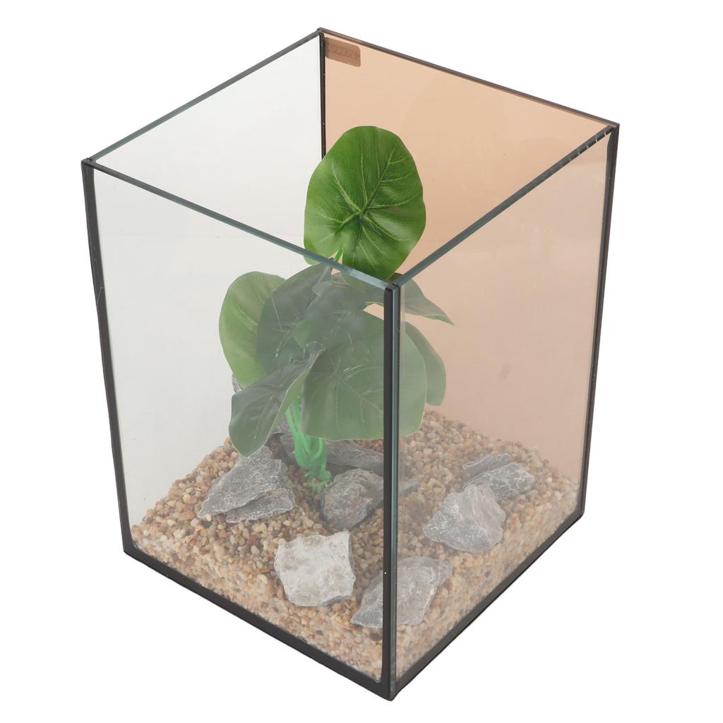 Glass Aquarium Mini Compact Ingenious Safe Low Noise Free Water Change Fish Tank Kit for Tabletop