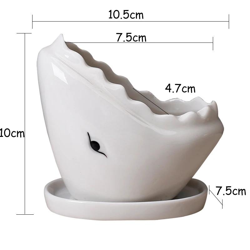 Creative Shark Ceramic Succulent Planter with Tray - Unique Animal Shape Flower Pot for Cactus/Bonsai/Indoor Plants - H