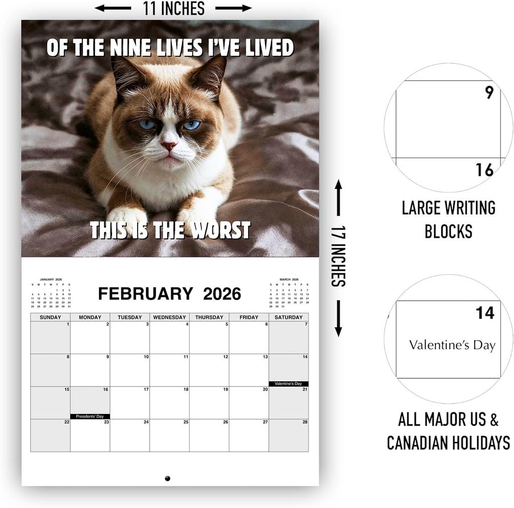 Peed-Off Cat Wall Calendar 2026 Funny Cat Meme Monthly Hanging Format  Home Office Decor New Year Gift 12 Monthly Family Planner