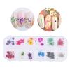 12 Farben Natürliche Trockenblumen für Acryl UV Gel Nail Art Tipps Design Etui DIY Deko C