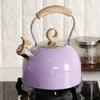 Whistling Tea Kettle Water 2.5L Boiling Milk Save Time Stylish Making Coffee Portable