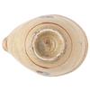 Marui Seito Shigaraki Ware Hechimon Katakuchi with Gosu and Iron 340ml (Sake Cup) Painting, Beige, Capacity, MR-3-4046