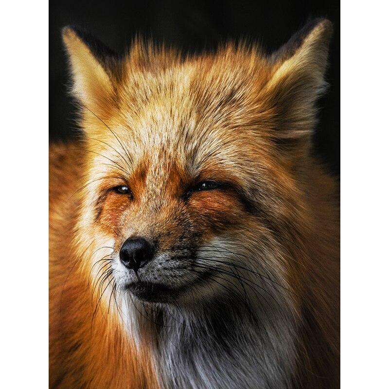 New 5D DIY Diamond Painting Red Fox Diamond Embroidery Animals Cross Stitch Full Round Drill Home Decor Manual Art Gift