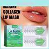 Hoygi Moisturizing Lip Mask Aloe Vera Hydrating Treatment For Dry Cracked Lips