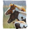 JQ Licensing Silky Foals Supersoft Blanket