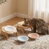 Anti-Spill Elevated Cat Bowl Ceramic Raised Cat Food Bowl Cat Drinking Plates  for Drinking Eating