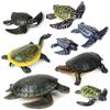 Cross-Border Children's Cognitive Amphibian & Reptile Tortoise Model Fish Tank Ornament Toy