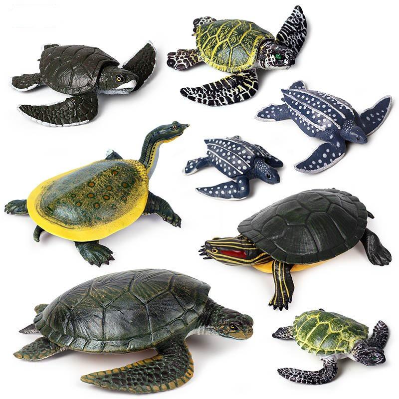 Cross-Border Children's Cognitive Amphibian & Reptile Tortoise Model Fish Tank Ornament Toy