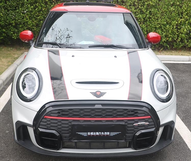 MINI JCW F55/F56/F57 Honeycomb Lower Center Grille Protection Net