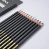 Professionelles Zeichen- und Skizzierstifte-Set, 12-teilig, Kunststifte, Graphit-Schattierungsstifte für Anfänger und Profi-Künstler