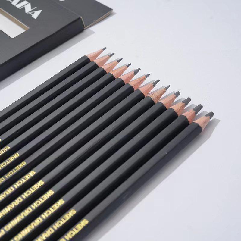 Professionelles Zeichen- und Skizzierstifte-Set, 12-teilig, Kunststifte, Graphit-Schattierungsstifte für Anfänger und Profi-Künstler