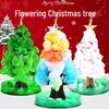 Magic Colorful Blooming Christmas Wishing Tree