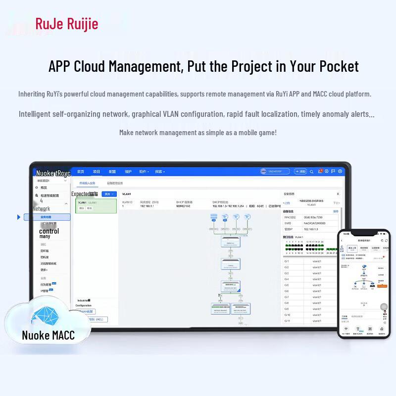 Ruijie Network Switch