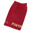 FINTA Men's Dry Practice Pants for Soccer and Futsal, FTE0012 (5100), Wine Red, Size M