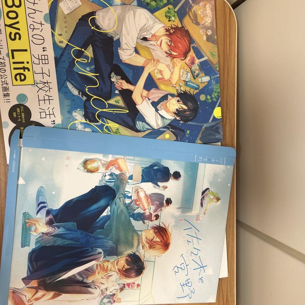 [USED] Shunzono Show Art Collection Candy Sasaki and Miyano + Box