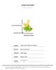 Spinach Green Hetian Jade Ginkgo Leaf Pendant Necklace in S925 Silver for Women