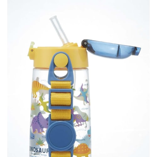 Skater Dinosaur Picture Water Bottle, 480ml Clear Bottle with Straw, for Boys, PDSH5-A