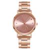 Ladies Temperament Luminous Steel Band Glass Alloy Quartz Watch