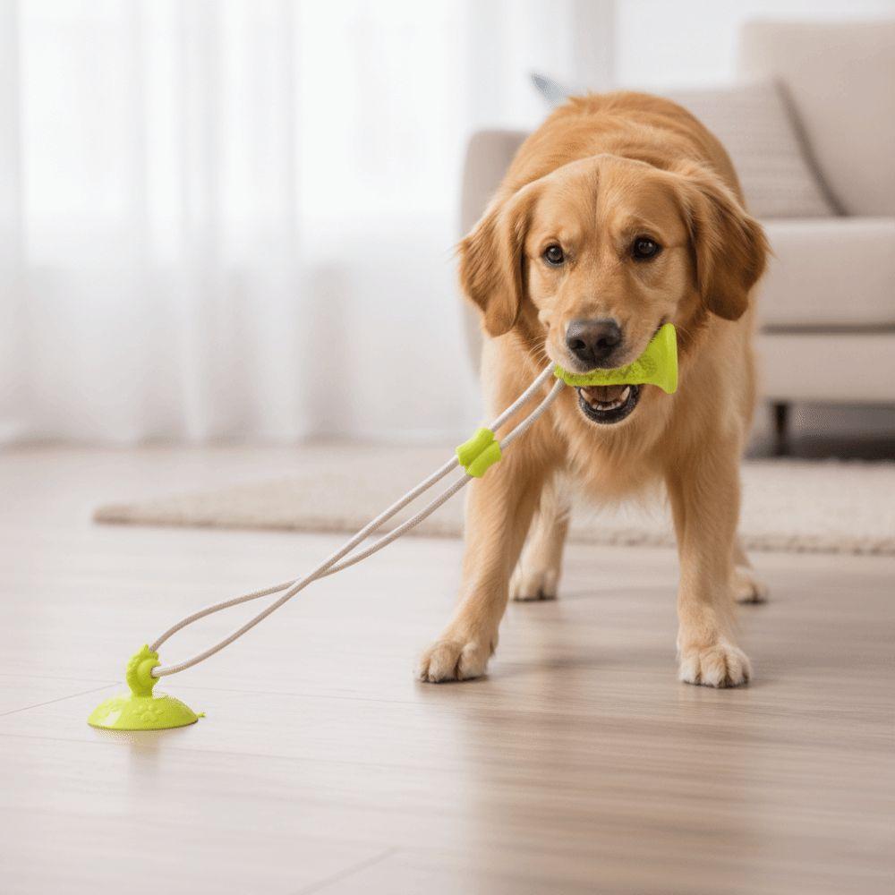 Bite-Resistant Dog Suction Cup Toy Elastic Pet Molar Bite Toy Relieve Boredom