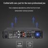 DAIPU DP-PL450 Video Conference Amplifier (CN Version)